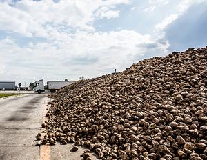 Agrana APA-Fotoservice Wolfgang Wolak